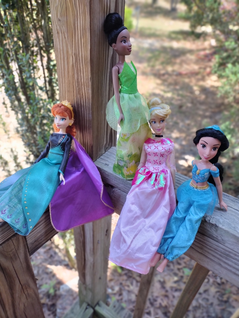 Disney Princess Doll Set